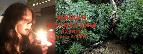 мдпв Майский
