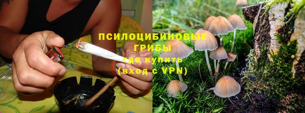 спайс Магас