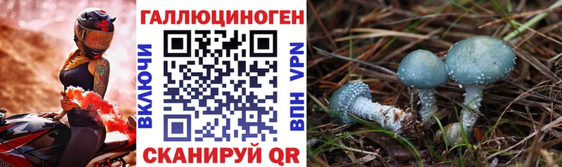 kraken как войти  Пойковский  Псилоцибиновые грибы GOLDEN TEACHER  купить наркоту 
