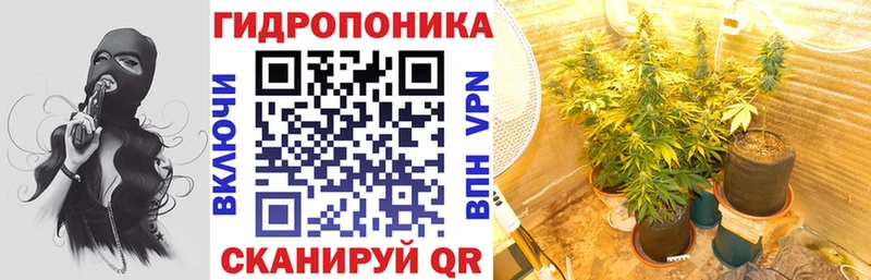 Бошки Шишки Bruce Banner  закладка  Пойковский 